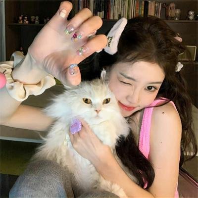 猪扒大联盟
